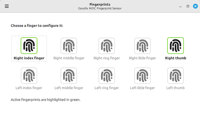 Fingerprint Authentication